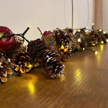 Hotel & Relax In Bellevue *